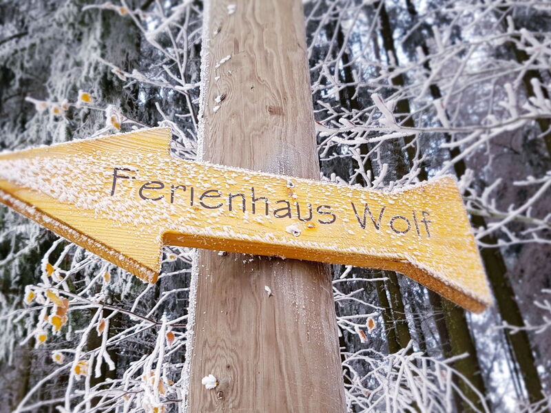 Am Wald Gelegenes Ferienhaus Wolf mit Kamin