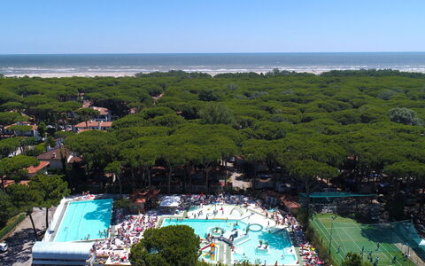 Lido di Spina 22: Legna, Tronco, Inverno, Ramoscello, Mobili Da Esterno, Congelamento, Woodland, Neve, Backyard