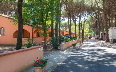 Alloggio:&nbsp;Mare e Pineta 22.3