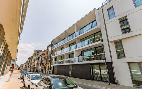 Bel Air with Parking and Balcony: Legna, Tronco, Inverno, Ramoscello, Mobili Da Esterno, Congelamento, Woodland, Neve, Backyard