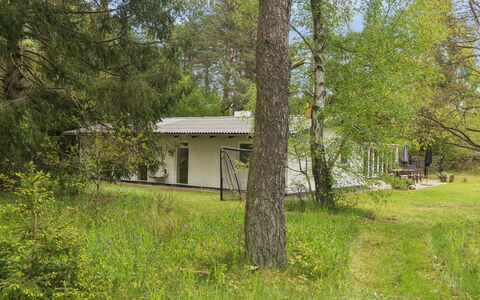 Aiko - 1.8Km from the Sea: Albero, Erba, Arbusto, Casa, Casa, Villetta, Lotto, Area Rurale, Groundcover