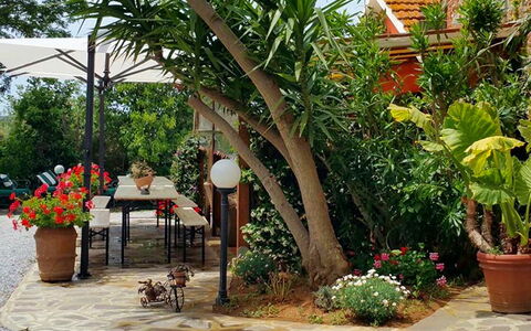 Appartamento Ibisco Seaside and Pool: Verde, Vaso Di Fiori, Giardino, Mobilia, Shade, Mobili Da Esterno, Backyard, Pianta Della Casa, Sedia