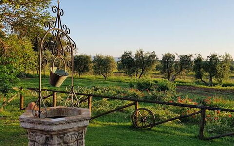 Appartamento Lavanda Seaside and Pool: Plain, Giardino, Parco, Prato, Cortile, Landscaping, Piantagione, Giardino Botanico, Azienda Agricola, Backyard