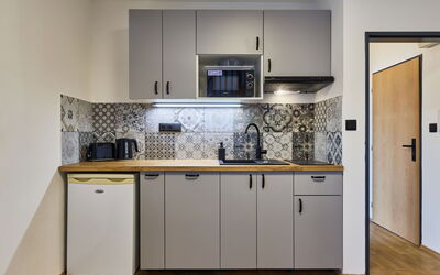 Růžová 3 101.3: Controsoffitto, Interior Design, Cucina, Pavimentazione, Idraulico Fixture, Elettrodomestico Da Cucina, Pavimento, Mobilia, Lavello, Cabinetry