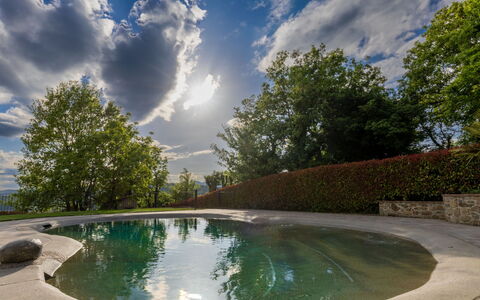 L'Oasi del Poggio: Acqua, Piscina, Riflessione, Giochi D'Acqua, Landscaping, Stagno, Reflecting Pool