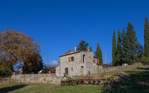 Pereti: Blu, Zona Residenziale, Sobborgo, Estate, Landscaping, Hedge
