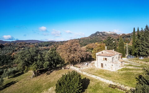 Pereti: Blu, Zona Residenziale, Sobborgo, Estate, Landscaping, Hedge
