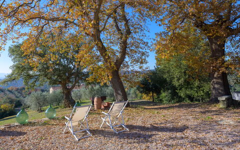 Pereti: Blu, Zona Residenziale, Sobborgo, Estate, Landscaping, Hedge