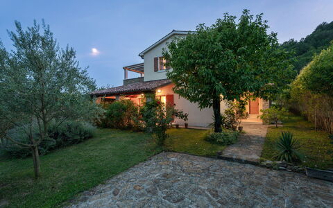 Dol: Casa, Arbusto, Casa, Giardino, Villetta, Estate, Landscaping, Agriturismo, Hacienda