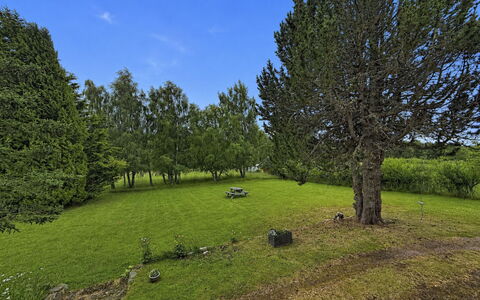 Greenaway: Erba, Albero, Ambiente Naturale, Foglia, Ramo, Pascolo, Plain, Nube, Arbusto, Lotto