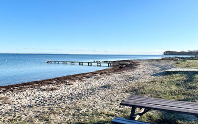 Yorik - 1.6Km from the Sea