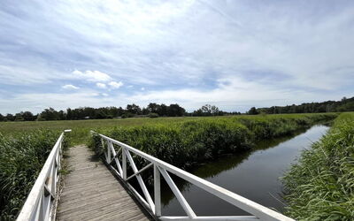 Ela - 1.1Km from the Sea
