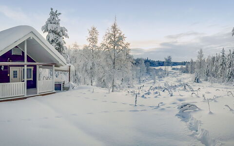 Lauhalehto: Neve, Inverno, Ramo, Villetta, Casa, Congelamento, Casa, Brina, Fenomeno Geologico, Ramoscello