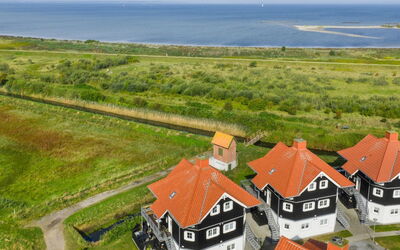 Alitta - 240M from the Sea