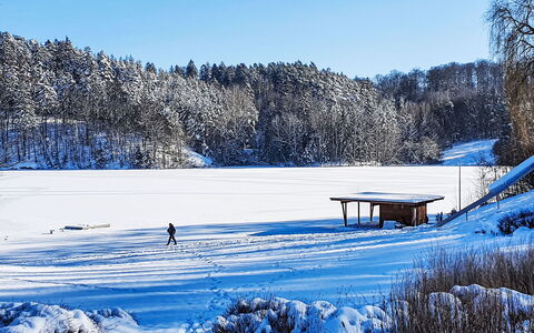Freigeist: Neve, Blu, Inverno, Albero, Congelamento, Ghiaccio, Brina, Pendenza, Calotta Di Ghiaccio, Geomorfologia Glaciale