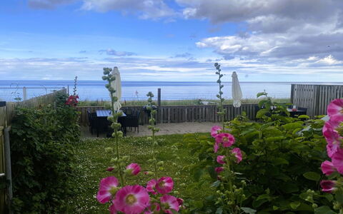 Nedelko - 20M from the Sea: Fiore, Petalo, Pianta Fiorita, Oceano, Mare, Giardino, Pianta Erbacea, Rose Di Famiglia, Wildflower