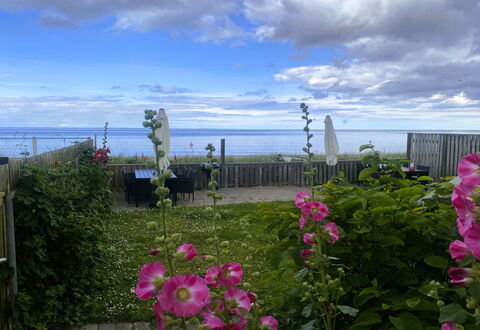 Nedelko - 20M from the Sea: Fiore, Petalo, Pianta Fiorita, Oceano, Mare, Giardino, Pianta Erbacea, Rose Di Famiglia, Wildflower