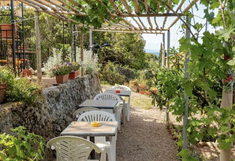 La Torre sul Ponte, Seaview, Garden: Shade, Giardino, Agricoltura, Piantagione, Sedia, Mobili Da Esterno, Struttura Esterna, Tavolo Esterno