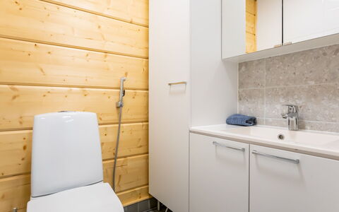 Joutsenranta: Pavimentazione, Toilet Seat, Idraulico Fixture, Bagno, Gabinetto, Lavandino Del Bagno, Pavimento, Legna, Lavello, Mobiletto Del Bagno
