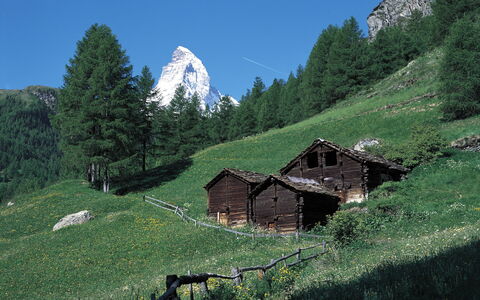 Sonnhalde a: Estate, Landscaping, Villa, Hedge, Balcone