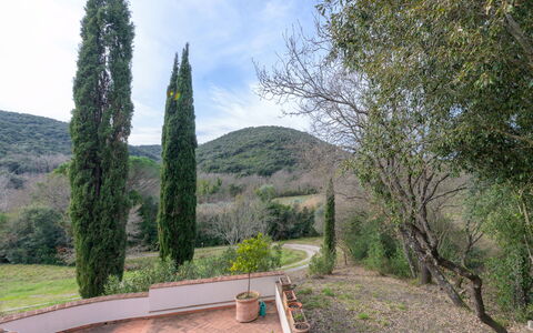 La Valle: Foglia, Arbusto, Giardino, Landscaping, Sempreverde, Pine Famiglia, Larice