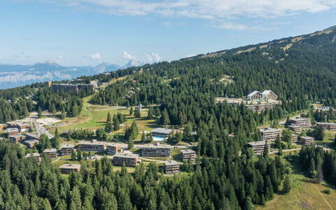 V. du Bachat Joubarbes: Albero, Paesaggio, Highland, Hill Station, Foresta, Visione Globale, Fotografia Aerea, Pendenza, Larice
