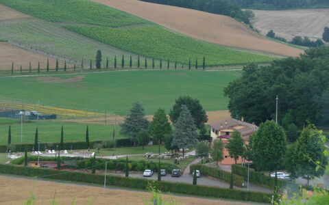 Tenuta Borgo al Sole: Area Rurale, Piantagione, Campo, Agricoltura, Villaggio, Azienda Agricola, Landscaping, Sempreverde