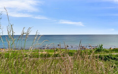 Yosefin - 50M from the Sea: Erba, Pascolo, Lotto, Villetta, Area Rurale, Prato, Edifici Giardino, Giardino, Capannone