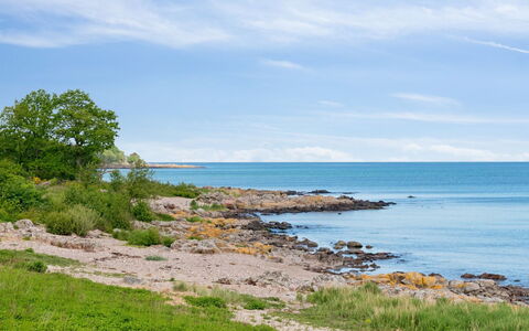 Yosefin - 50M from the Sea: Erba, Pascolo, Lotto, Villetta, Area Rurale, Prato, Edifici Giardino, Giardino, Capannone