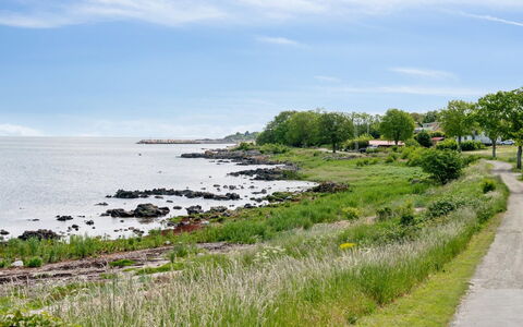 Yosefin - 50M from the Sea: Erba, Pascolo, Lotto, Villetta, Area Rurale, Prato, Edifici Giardino, Giardino, Capannone