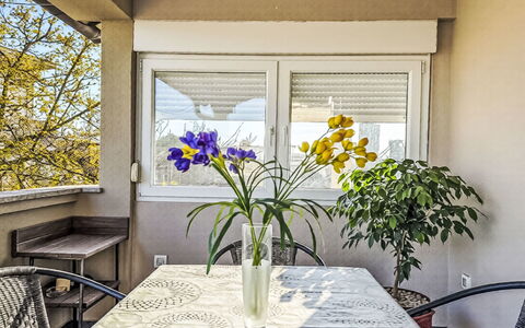 Sara: Mobilia, Interior Design, Sedia, Cucina & Sala Da Pranzo Tavolo, Appartamento, Pianta Della Casa, Vaso Di Fiori, Shade, Bicchiere, Balcone