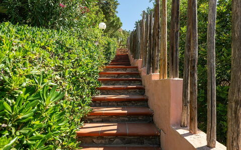 Pellicano: Arbusto, Giardino, Primavera, Shade, Landscaping, Passerella, Giardino Botanico, Vaso Di Fiori, Recinzione, Home Scherma