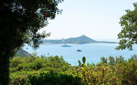 Pellicano: Blu, Foglia, Verde, Vegetazione, Paesaggio Naturale, Arbusto, Comunita 'Impianto, Costiera E Morfologie Oceanic, Mare, Costa