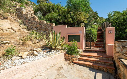Pellicano: Arbusto, Roccia, Comunita 'Impianto, Giardino, Landscaping, Vaso Di Fiori, Flagstone, Le Scale, Muro ​​Di Pietra
