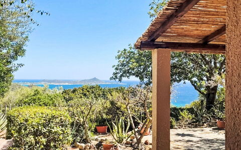 Pellicano: Architettura, Shade, Struttura Esterna, Sedia, Giardino, Pergola, Vaso Di Fiori, Tenda, Landscaping, Mobili Da Esterno