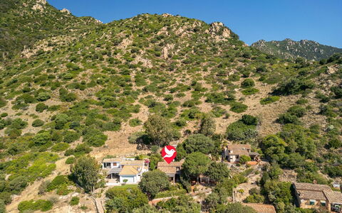 Pellicano: Geografia Montane, Vegetazione, Paesaggio, Montagna, Area Rurale, Highland, Collina, Comunita 'Impianto, Chaparral, Hill Station