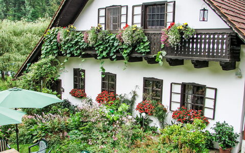 Himmelreichmühle: Casa, Arbusto, Villetta, Porta, Balcone, Vaso Di Fiori, Pianta Della Casa, Giardino, Agriturismo