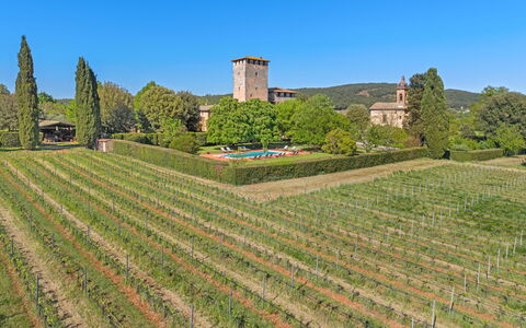 Medieval Castle Living: Vineyards, Swimming Pool &: Piantagione, Agricoltura, Giardino, Vigneto, Hedge, Azienda Agricola