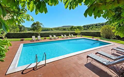 Medieval Castle Living: Vineyards, Swimming Pool &: Piscina, Ricorrere, Eco Hotel, Giardino, Hacienda, Shade, Villa, Agriturismo, Giochi D'Acqua, Landscaping