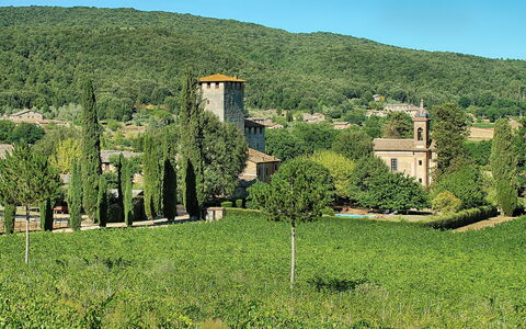 Medieval Castle Living: Vineyards, Swimming Pool &: Vegetazione, Arbusto, Lotto, Comunita 'Impianto, Area Rurale, Piantagione, Hill Station, Giardino, Villaggio, Estate