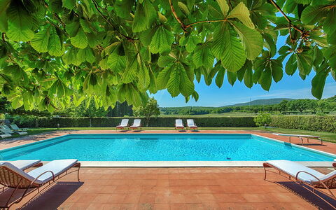 Medieval Castle Living: Vineyards, Swimming Pool &: Giardino, Shade, Ricorrere, Eco Hotel, Piscina, Hacienda, Mobili Da Esterno, Piantagione, Villa, Agriturismo