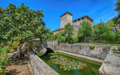 Medieval Castle Living: Vineyards, Swimming Pool &: Giardino, Estate, Landscaping, Giochi D'Acqua, Giardino Botanico, Stagno