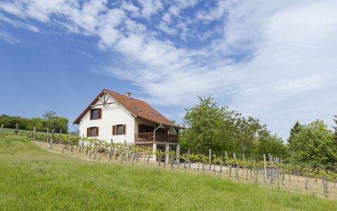 Pax: Erba, Casa, Area Rurale, Villetta, Tetto, Casa, Paesaggio, Plain, Lotto