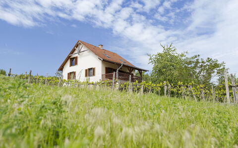 Pax: Erba, Casa, Area Rurale, Villetta, Tetto, Casa, Paesaggio, Plain, Lotto