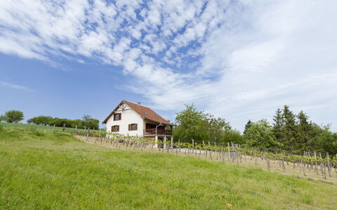 Pax: Erba, Casa, Area Rurale, Villetta, Tetto, Casa, Paesaggio, Plain, Lotto