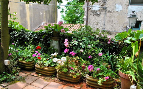 Giardino dei Limoni: Acqua, Corpo D'Acqua, Costa, Costiera E Morfologie Oceanic, Mare, Zona Residenziale, Paesaggio, Oceano, Promontorio