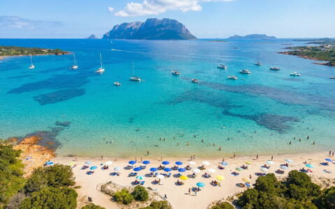 La Quercia: Acqua, Corpo D'Acqua, Costa, Costiera E Morfologie Oceanic, Mare, Zona Residenziale, Paesaggio, Oceano, Promontorio