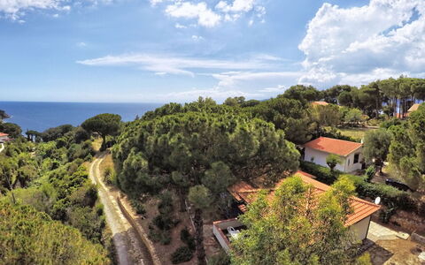 Capoliveri 860: Albero, Vegetazione, Paesaggio, Comunita 'Impianto, Lotto, Costa, Estate, Oceano, Tropici