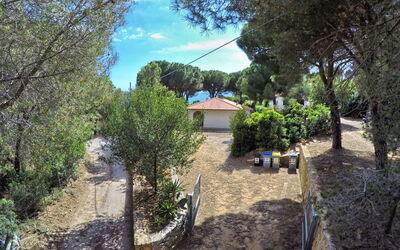 Capoliveri 860: Albero, Foglia, Arbusto, Giardino, Landscaping, Shade, Estate, Driveway, Backyard