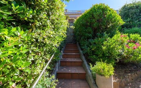 Montparnasse: Verde, Foglia, Arbusto, Comunita 'Impianto, Giardino, Woody Impianto, Hedge, Passerella, Shade, Landscaping